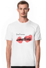f1 formula