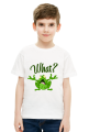 What Frog