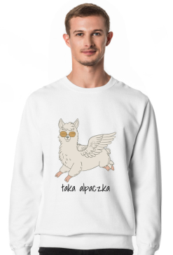 taka alpaczka - sweatshirt men