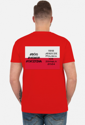 dzień niepodległości