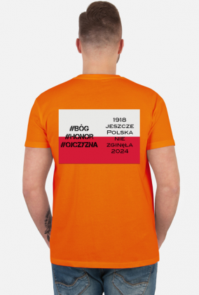 dzień niepodległości