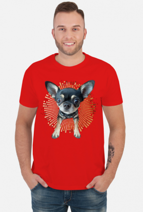 Chihuahua | ToSeKup