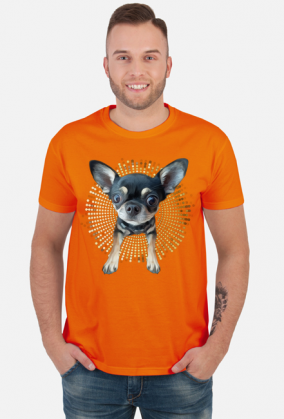 Chihuahua | ToSeKup
