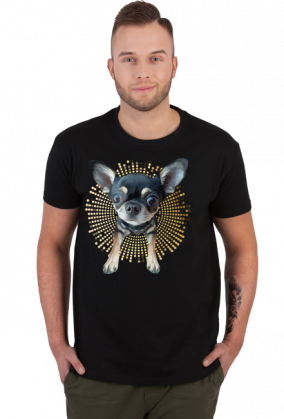 Chihuahua | ToSeKup