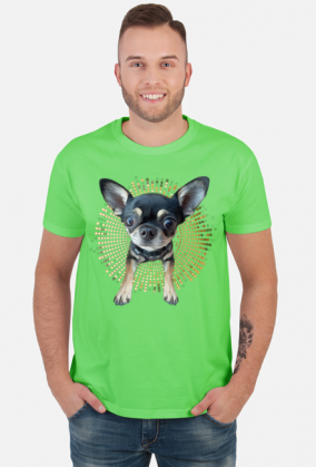 Chihuahua | ToSeKup