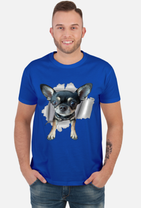 Chihuahua (różne kolory) | ToSeKup