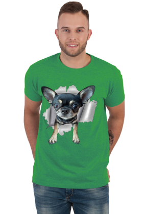 Chihuahua (różne kolory) | ToSeKup