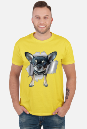 Chihuahua (różne kolory) | ToSeKup