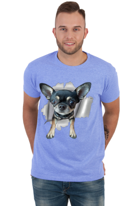 Chihuahua (różne kolory) | ToSeKup