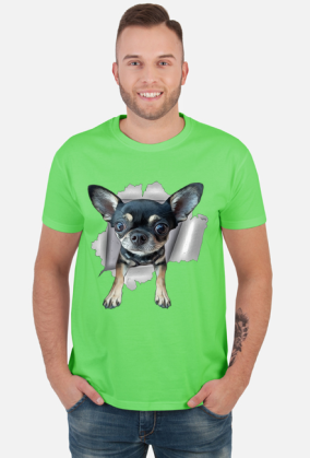 Chihuahua (różne kolory) | ToSeKup