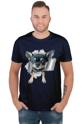 Chihuahua (różne kolory) | ToSeKup