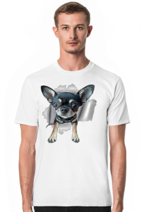 Chihuahua (różne kolory) | ToSeKup