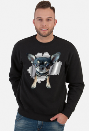 Bluza męska Chihuahua | ToSeKup