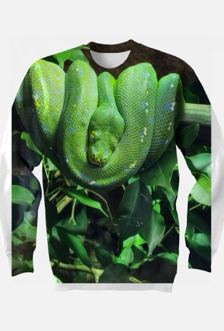 Bluza z wężem
