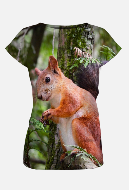 Wiewiórka bluzka