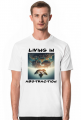 Living in abstraction