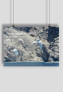 plakat