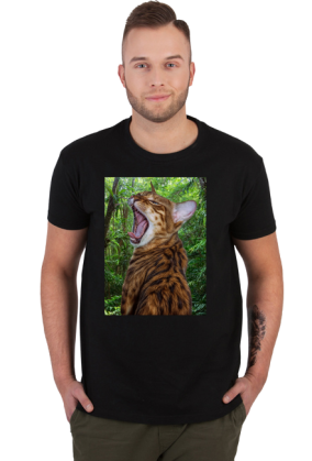 Jungle Cat