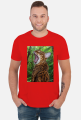 Jungle Cat