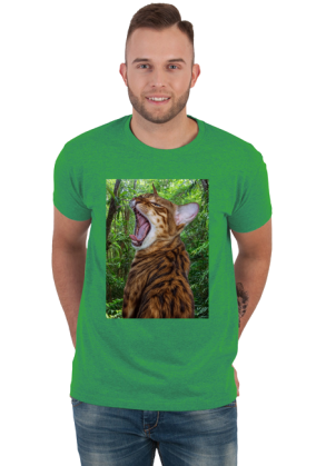 Jungle Cat