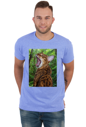 Jungle Cat