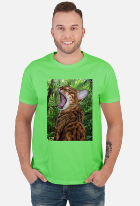 Jungle Cat