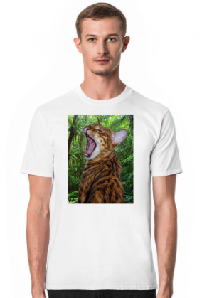 Jungle Cat