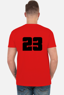 CHICAGO 23