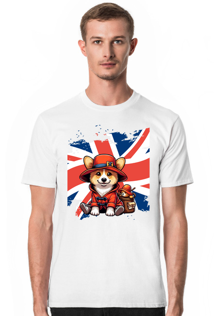 Paddington corgi