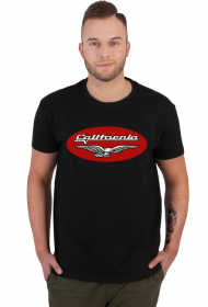 Moto Guzzi california 1400 oval