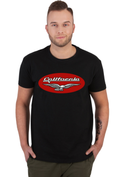 Moto Guzzi california 1400 oval