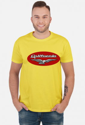 Moto Guzzi california 1400 oval