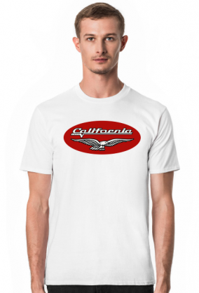 Moto Guzzi california 1400 oval
