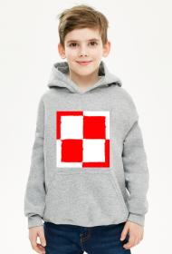 Bluza dla chłopca Polska Lotnictwo Polskie symbol