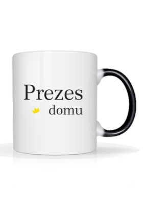 Prezes domu
