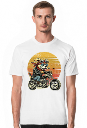MotoPiknik pies