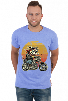 MotoPiknik pies