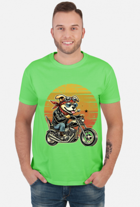 MotoPiknik pies
