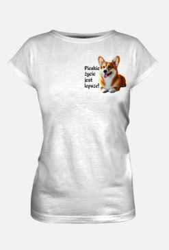 corgi_01