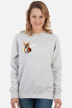 corgi_01