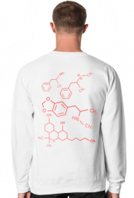 Sweatshirt Race Light