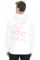 Hoodie Race Light