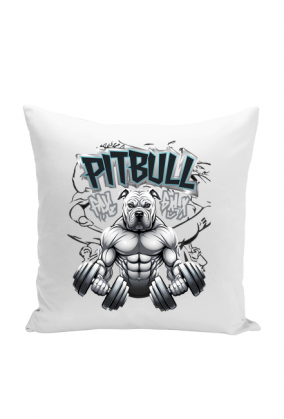 PITBULL GYM PODUSZKA JASIEK