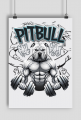 PLAKAT PITBULL GYM