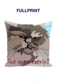 Got some catnip? Poduszka