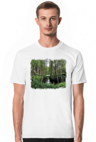 NATURA