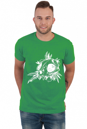 Koszulka Kocia czaszka_n, T-shirt Kitten skull_n