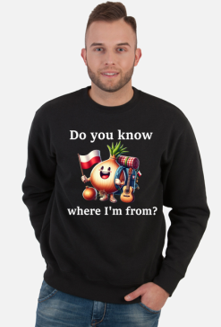 Bluza WHERE I'M FROM męska