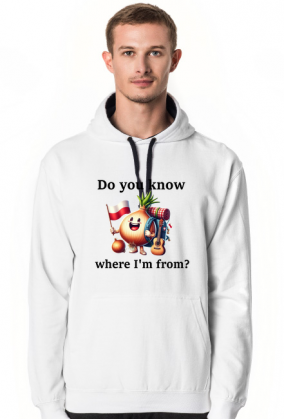 Bluza WHERE I"M FROM męska