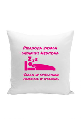 1. Zasada Dynamiki (poduszka)